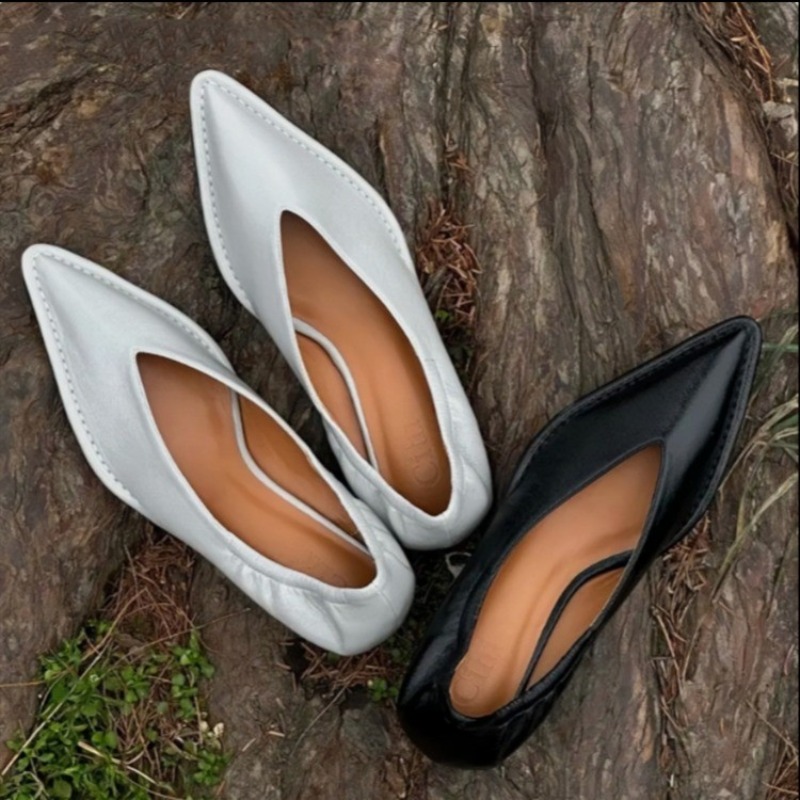 Women'S Fashion Spring 2025 - 2025 New Pointed Toe Single Shoes