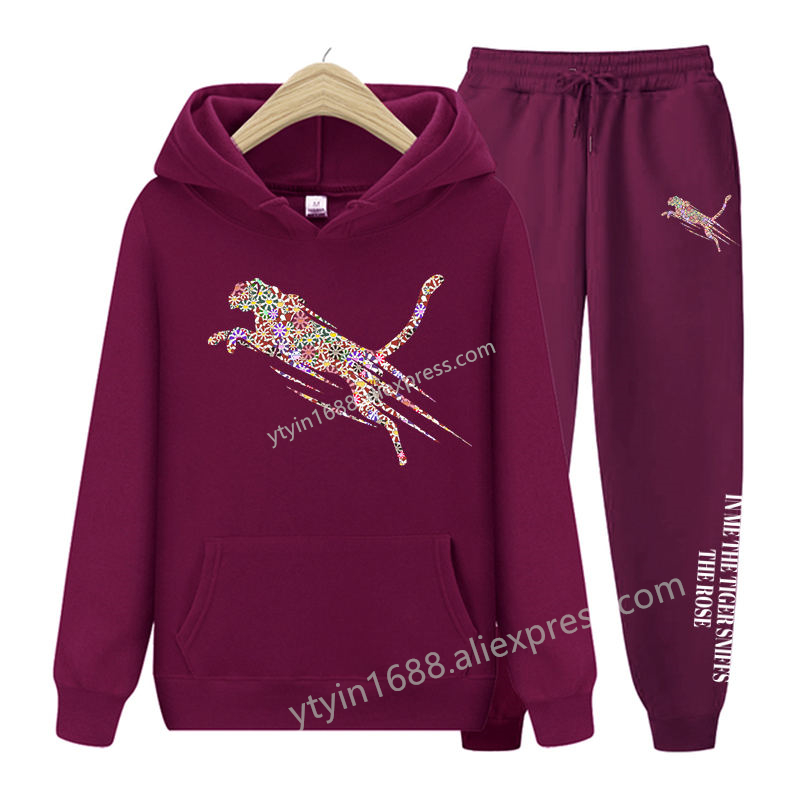 Womens TrackSuit  Aesthetic Sw - Hoodie Women Oversized review and price