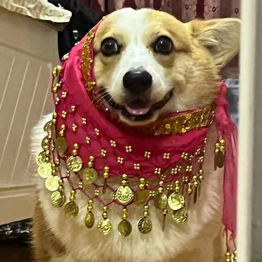 Dog Booty Shake Dance Booty To - Printed Wrap Skirt review and price