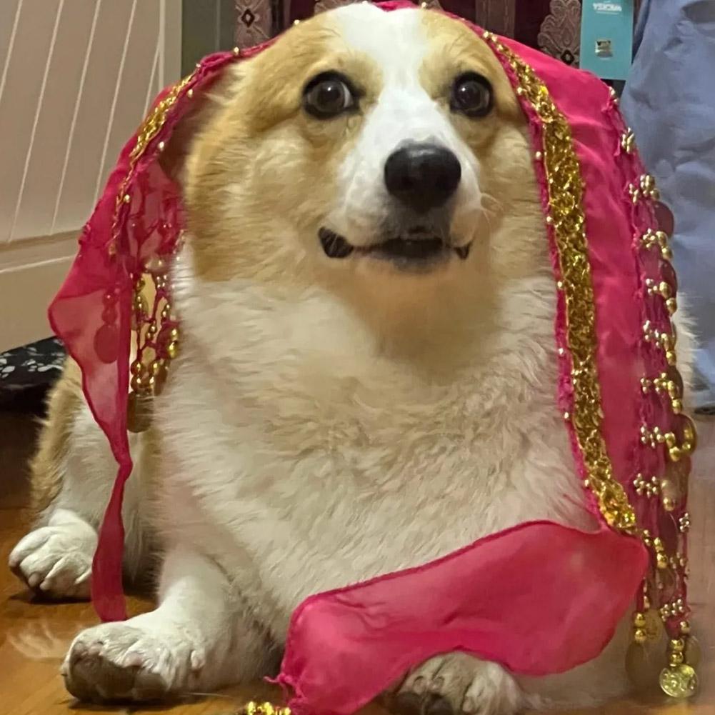 Dog Booty Shake Dance Booty To - Printed Wrap Skirt review and price